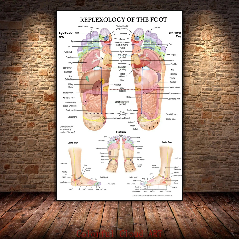 Reflexology of The Foot Acupuncture Point Chart  Anatomy Canvas Painting Art Print Poster for Living Room Clinic Home Wall Decor