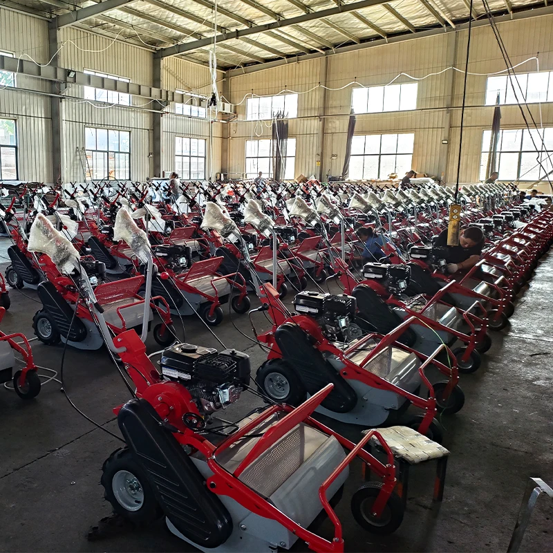 الزراعة المتضخم العشب حديقة اليد دفع Flail جزازة العشب الزاحف آلة قطع العشب الهيدروليكية