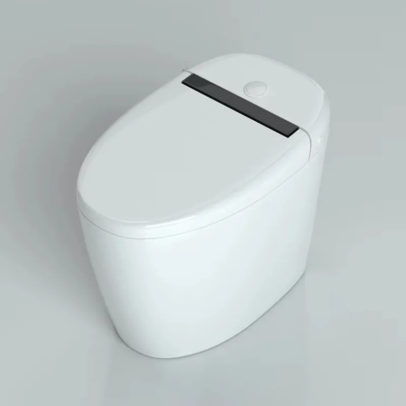 Cheap Sanitary Ware Bathroom Washroom s Trap One Piece Ceramic Wc Toilet Bowl Non Electric Bidet Toilet with Bidet Function