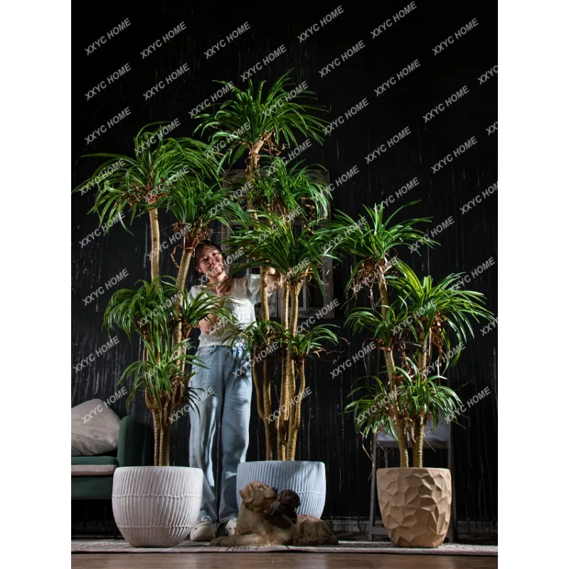 

Tropical Dracaena Dracaena Marginata Simulation Green Plant Bionic Fake Trees Plant Landscape Interior Living Room Decoration