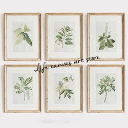 Antique Botanical Vintage Plant Drawing Farmhouse Kitchen Art Poster Canvas Painting Wall Prints Picture for Room Home Decor