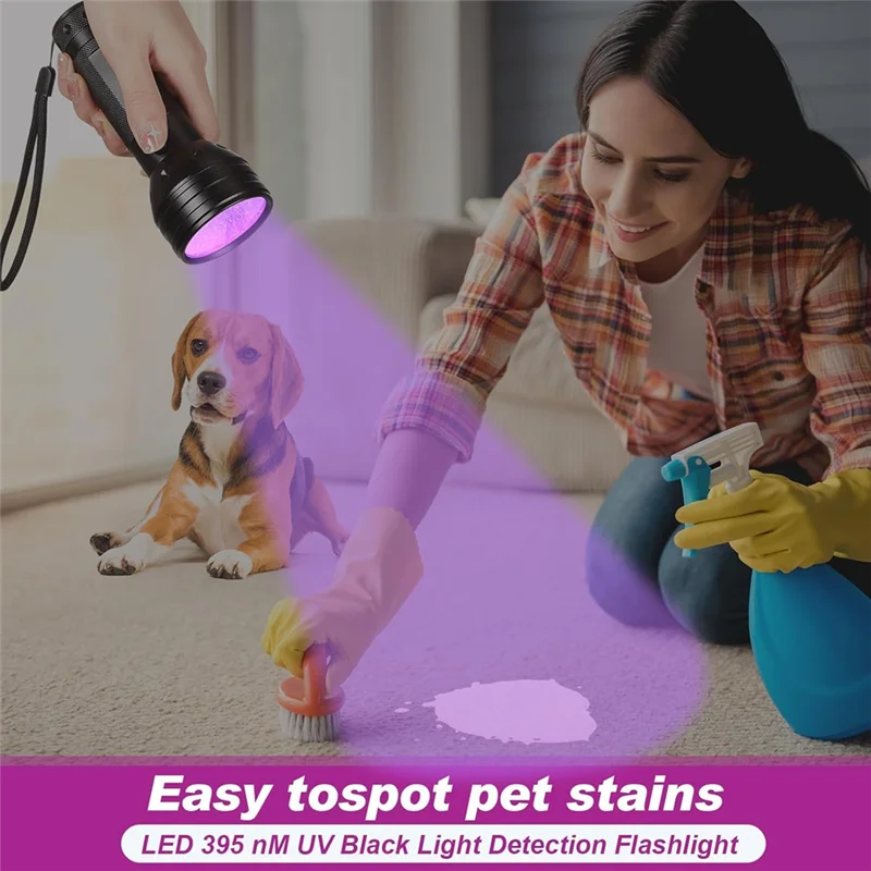 LICE-4Pcs 고스트 헌팅 장비 키트 1 포켓 디지털 음성 녹음기 2 LED 라이트 업 애완 고양이 공 1 블랙 UV 손전등, 8GB