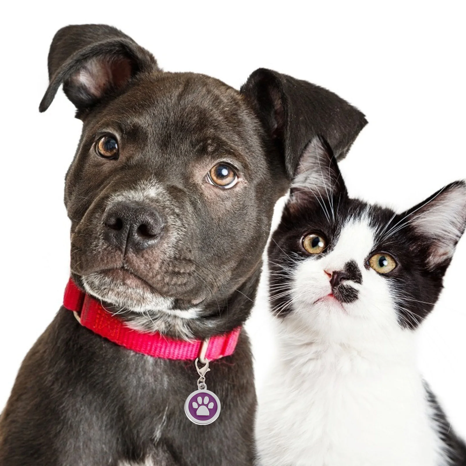 

5Pcs Dog Id Tags Sturdy Zinc Alloy Pet Tag for Dogs Cats Puppies Modern Elegant Design Pet Collar Hanging Pendant Adorable Id