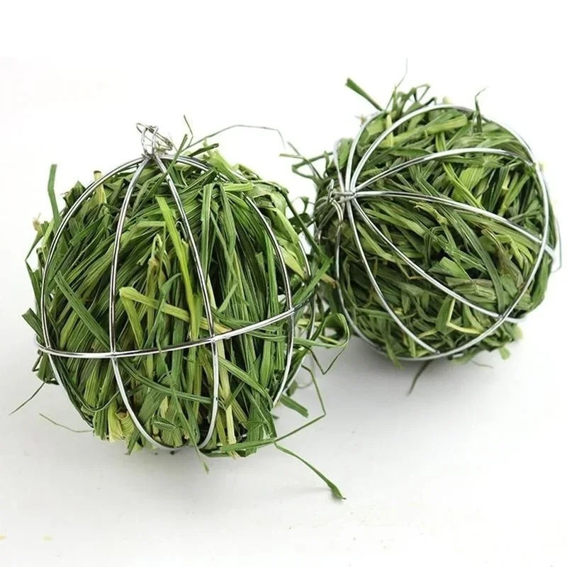 Stainless Steel Plated Hay Rack Ball Feed Dispenser Suspendable Toy Guinea Pig Hamster Rat Rabbit Pet Supply Grass Rack Ball view 3