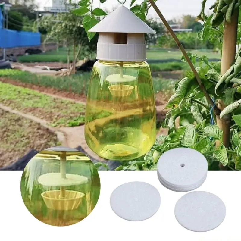 31BE 20Pcs Fly Catcher White Circular Trap Pad Fruit Fly Trap Round Paper Pad For Protecting Fruits And Vegetables Enduring