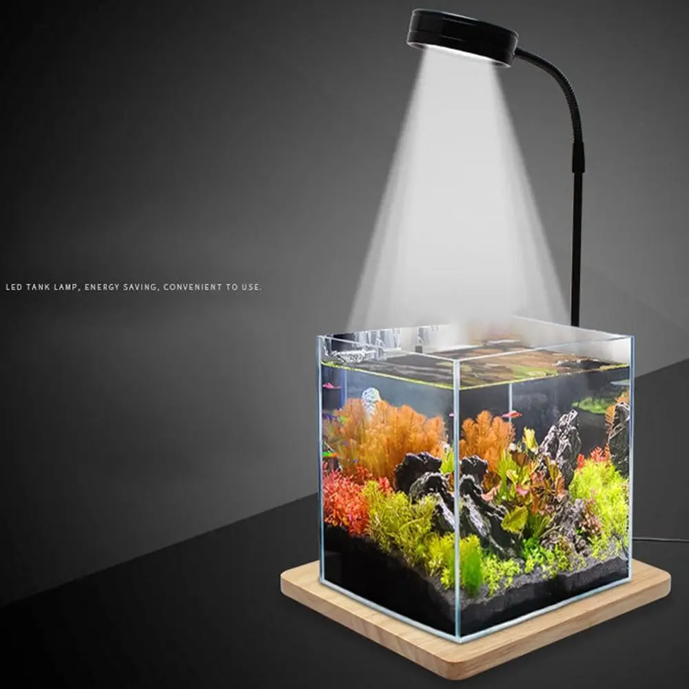 10W Aquarium LED-Lampe mit Verstellbarer Höhe und Holzplatte, Multifunktionale USB-Aufladung für Aquarienbeleuchtung – Detail 7