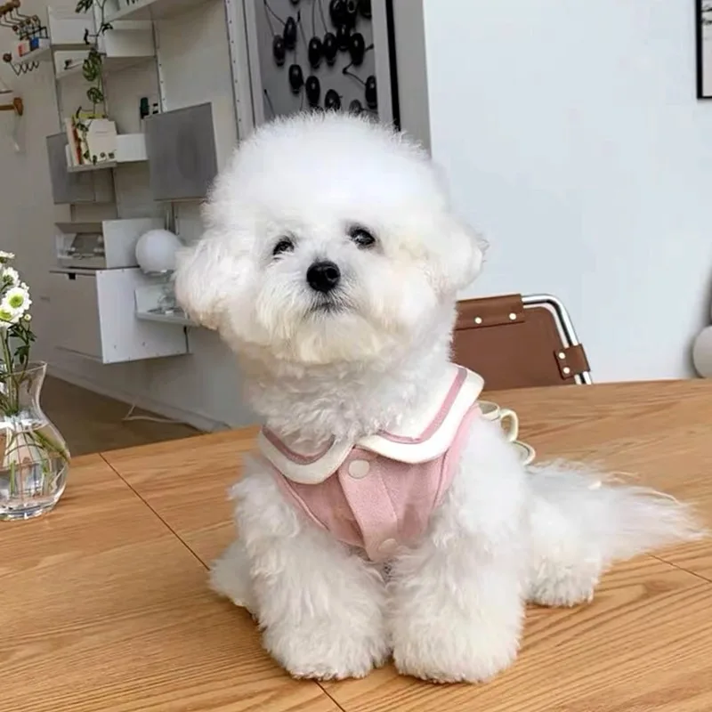 Blue Navy Collar Pet Clothes Teddy Bichon Frise Summer Vest Small Dog Solid Color Pullover Maltese Short Sleeve