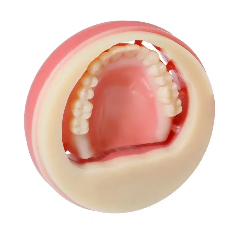 Используется в временных коронях и мозах Denta. Направляющие для имплантатов и моделях Denta. Многослойный блок Pmma.