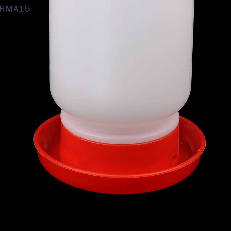 Comedero Automático Aves Plástico Grueso - usage example