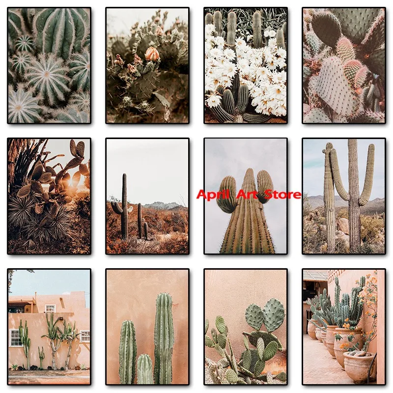 Desert Succulent Cactus Boho Nature Poster Botanical Cacti Saguaro Poster Canvas Printing Wall Art Picture for Room Home Decor