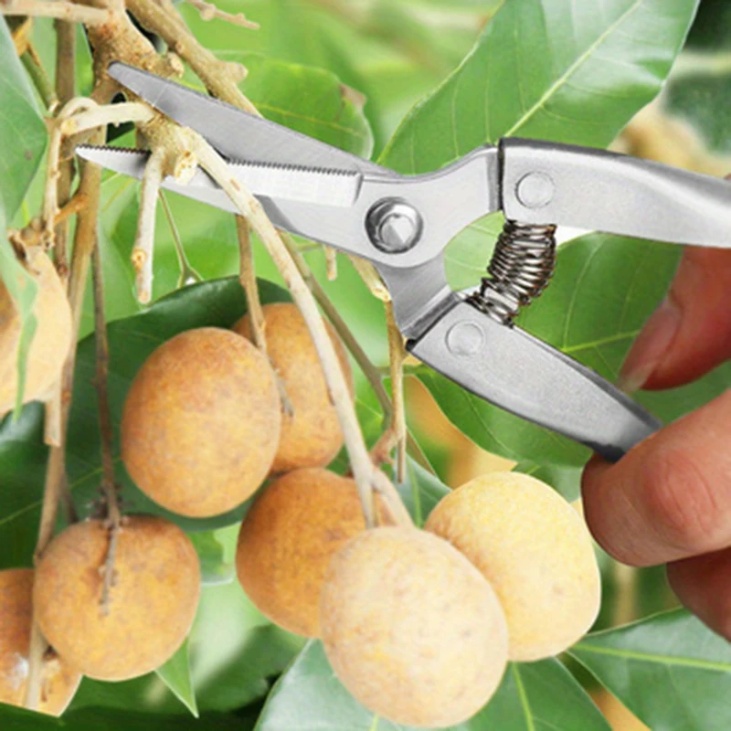 1PC stainless steel fruit picking and pruning shears, garden and horticultural shears with serrated zinc alloy handle, fruit tre