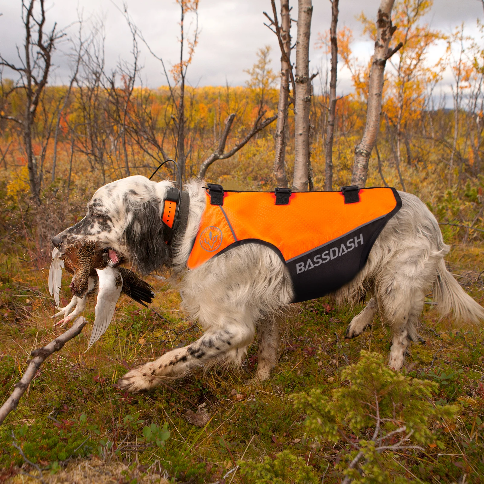 BASSDASH Dog Safety Vest Lightweight Water Resistant Chest Protection Blaze Orange Reflective High Visibility for Hunting