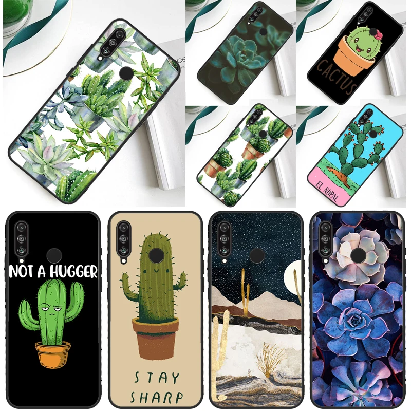 Cactus Plants Succu… - image