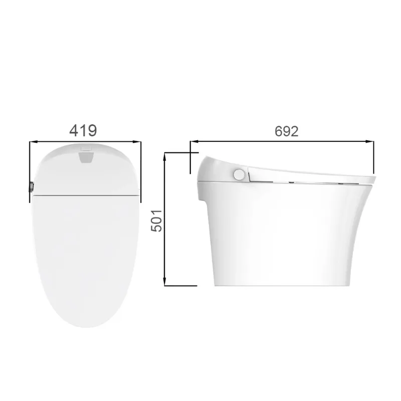 TA-X570ZD Effortless Installation Ceramic 316 Stainless Steel Nozzle One-piece Intelligent Smart Toilet with Water tank