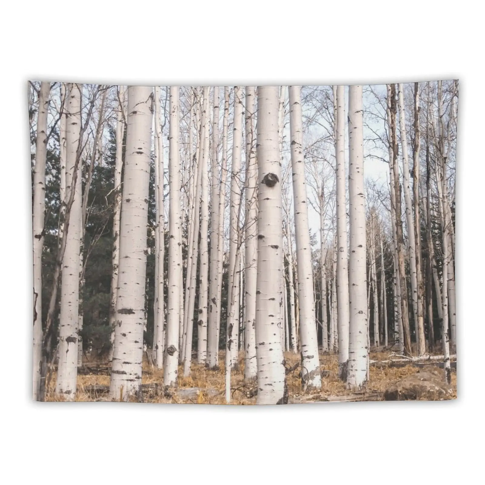 

Birch Forest, Trees of Reason Tapestry Bathroom Decor Korean Room Decor Wall Decorations Home Decor Aesthetic Tapestry
