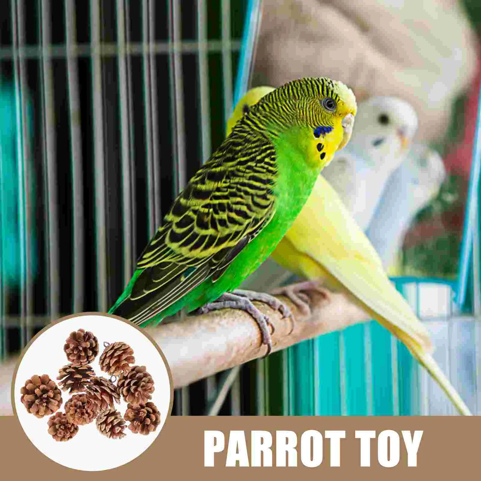 Parrot Chewing Toy Pet Bird Toys Hangable Pine Cone Foraging Large Suspending Biting Cones