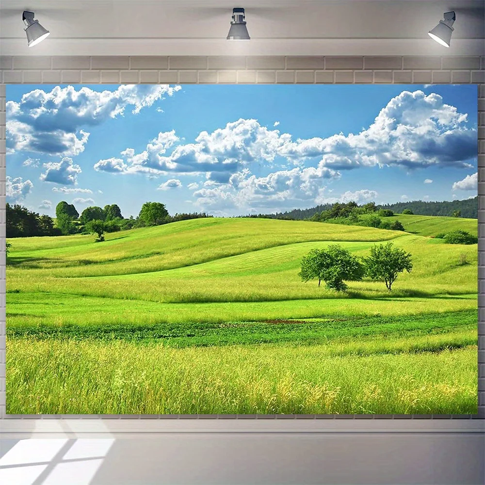 2D-Flugzeugmodell, 2D-Banner, 1 Stück. Fotografie-Hintergrundstoff mit frühlingsgrünem Hangland und Wiesen – Lebendiges Grasland und blauer Himmel
