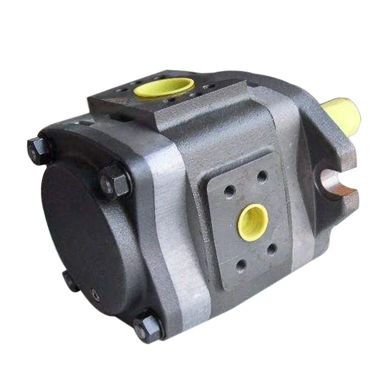 

IPV7 IPV-7/6-160/125-111 Hydraulic Gear Pump Ipv High-Pressure Internal Gear Pump Ipv7-125 Ipv7-160 Ipv7-200 Ipv7-250