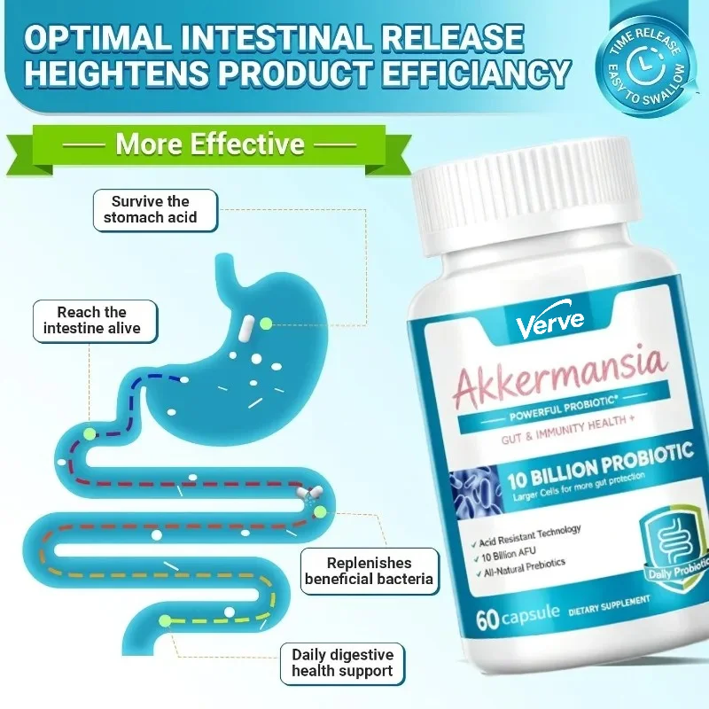 Akkermansia Probiotics 10 Billion AFUs Organic Probiotics - Digestive, Gut, Immune (60 Capsules)