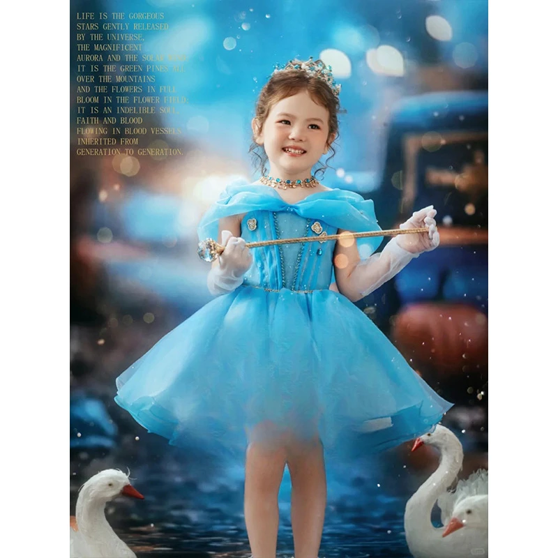 

2025 New Blue Girls Princess Birthday Stage Performance Studio Fluffy Yarn dress
