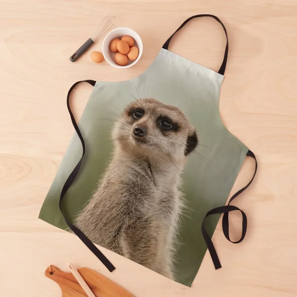 

Meerkat Apron Kitchen And Home Items cooks clothes Apron