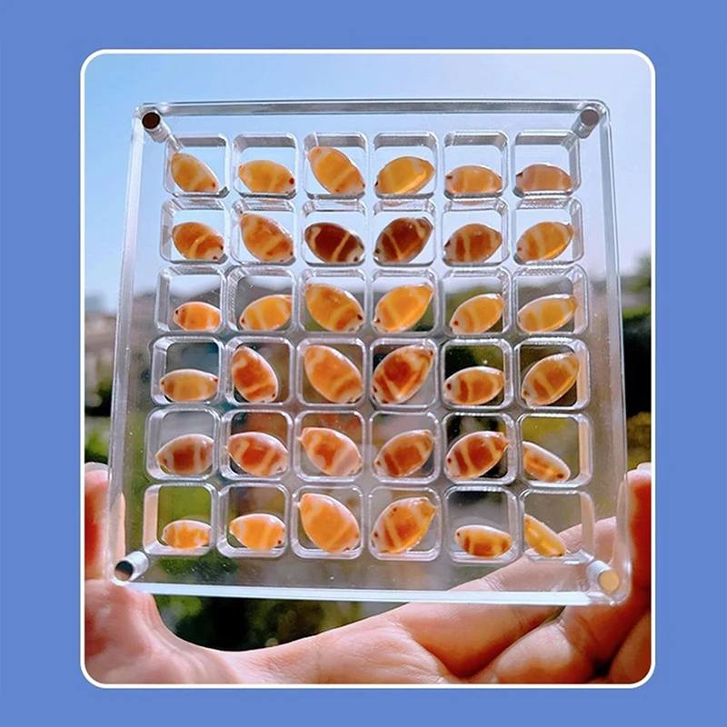 Acrylic Magnetic Seashell Display Box Seashell Clear Starfish Trinket Organizers 36 Grids Mini Seashell Storage Box