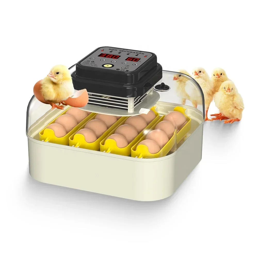 New arrive full automatic 16 chicken eggs mini solar egg incubator for family use-11