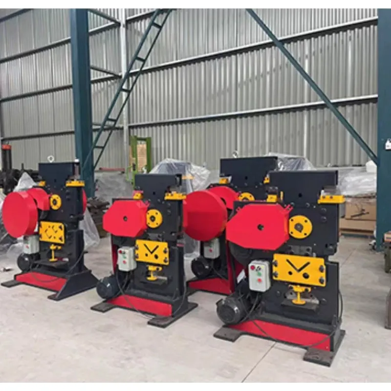 Punzonatrice e cesoia combinata multifunzionale per punzonatrice per canali di acciaio e acciaio angolare