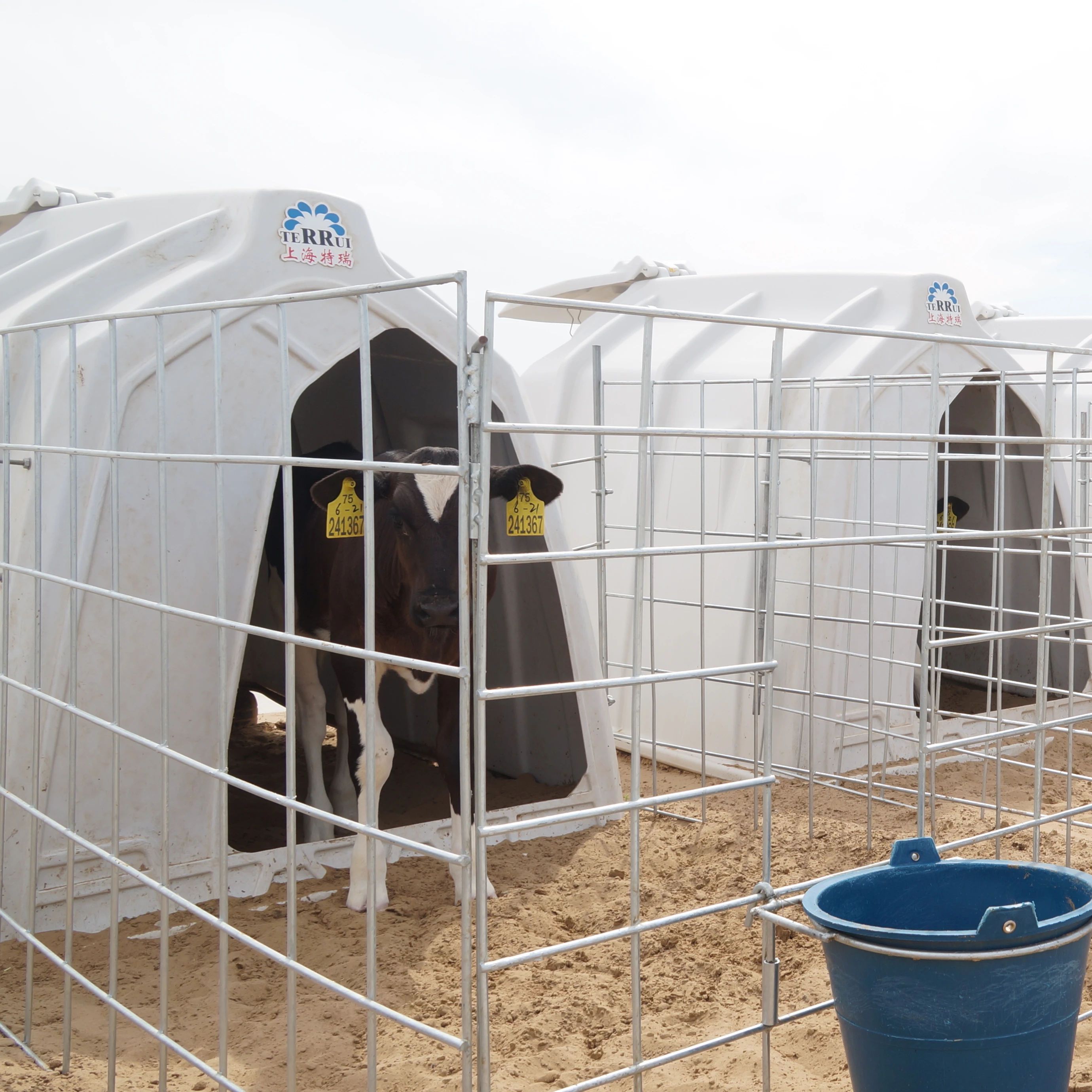 White Calf House With Vents Food Grade Plastic Calf Hutches