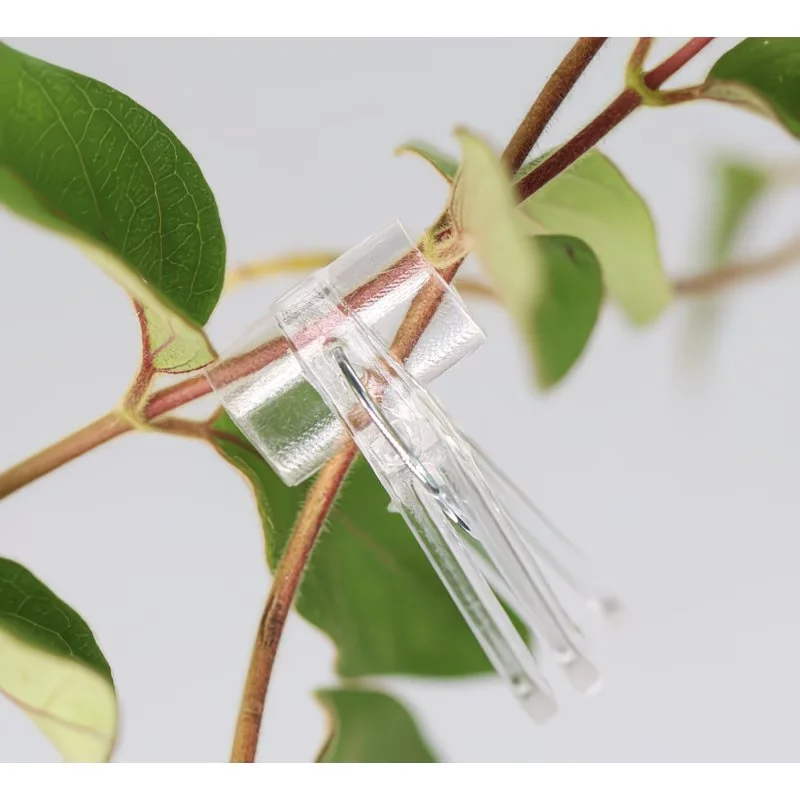 50pcs Transparent Grafting Clips Tomato Eggplant Heavy-Duty Transparent Tools For Vegetable Plants Seedlings Garden Accessories