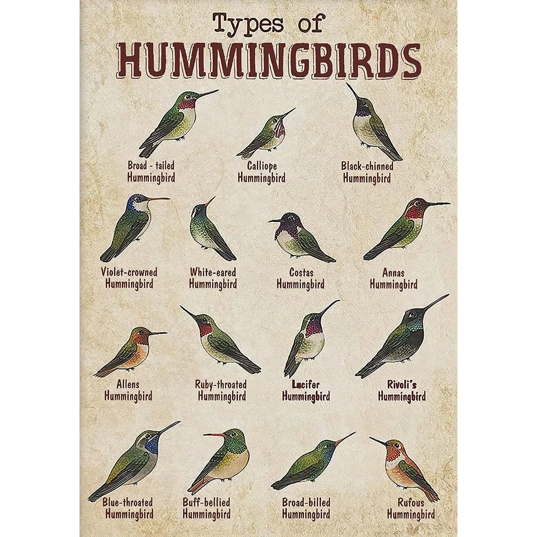 Vintage Hummingbird…