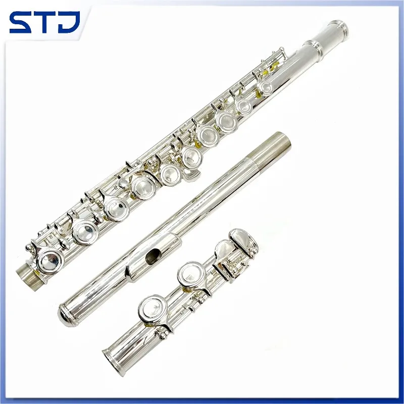 17 Hole Professional Flute Cupronickel Closed C Tune E Key  Flute Silver Plated Musical Instruments With Case and Accessoriepart