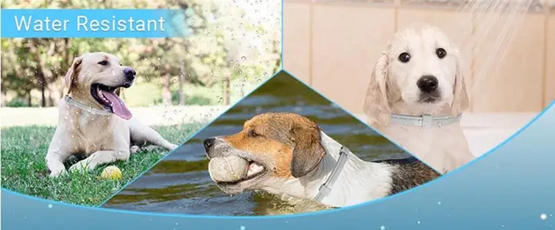 New Release 3/4 Pc Dog Calming Collar Cat Relieve Anxiety Protection Retractable Collars For Puppy Kitten Large Dogs Accessories