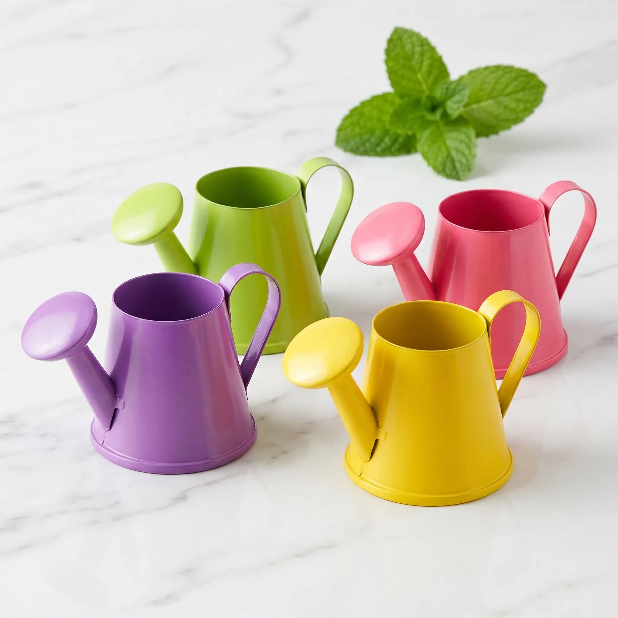4Pcs Mini Metal Watering Cans Children Garden Portable Small Plant Flower Watering Kettle Kids Ergonomic Handle view 5