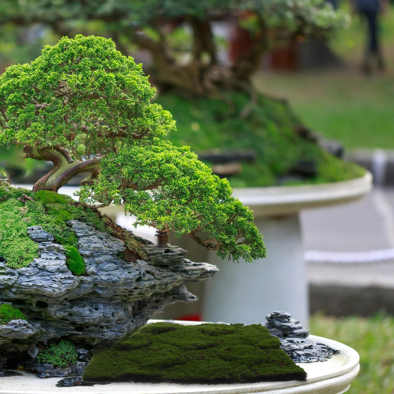 

Simulation Artificial Moss Mat 12x12 Inch Realistic Fake Grass Rug Mat for Balcony Terrace Window Decoration Indoor Outdoor