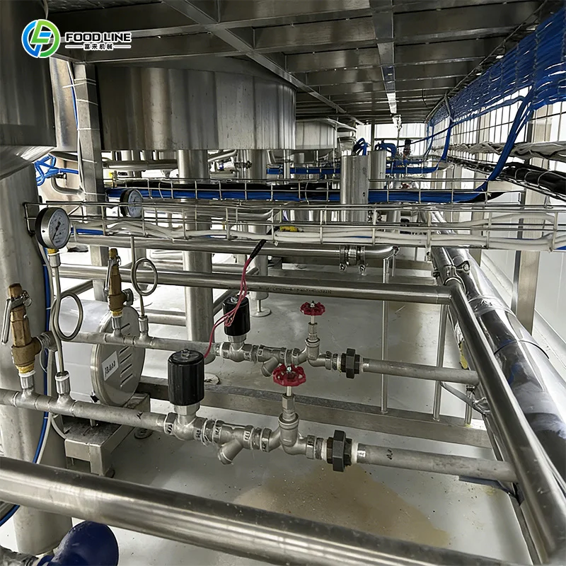 Beer Manufacturing Plant Commercial Beer Production Equipment Customized