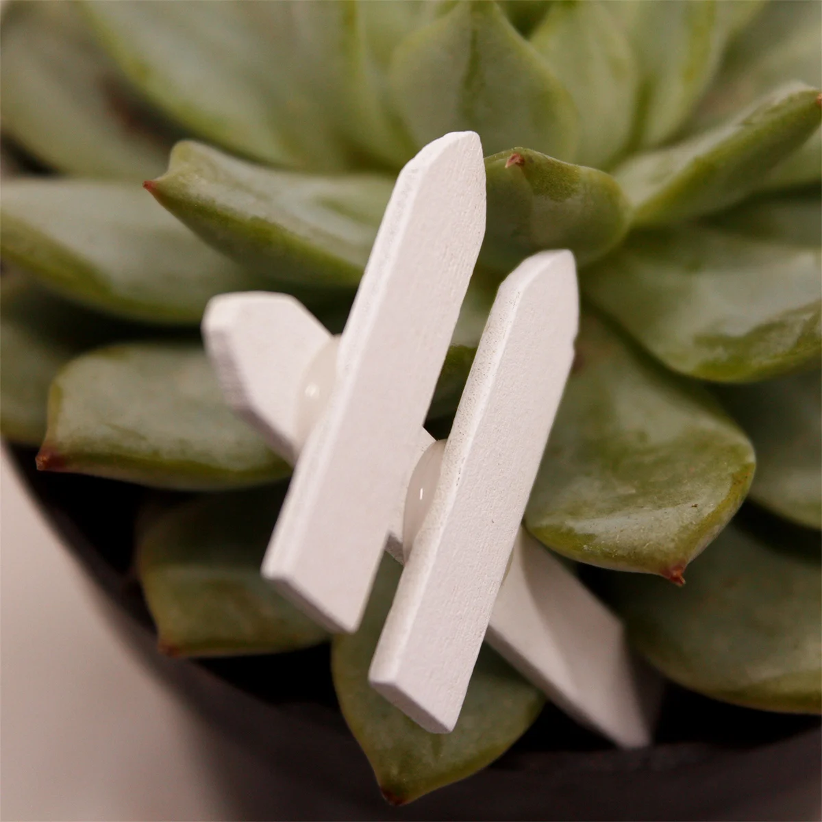 

White Plant Tags Succulent Card Plants Marker Wood Garden Label Stake Home Decor