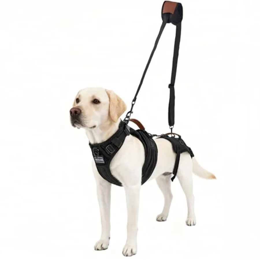 

Dog Lift Harness for Male Dogs - 2-in-1 Full Body Support Aid and Sling Comfortable and Chafe-Free for Post-Surgery Recovery an