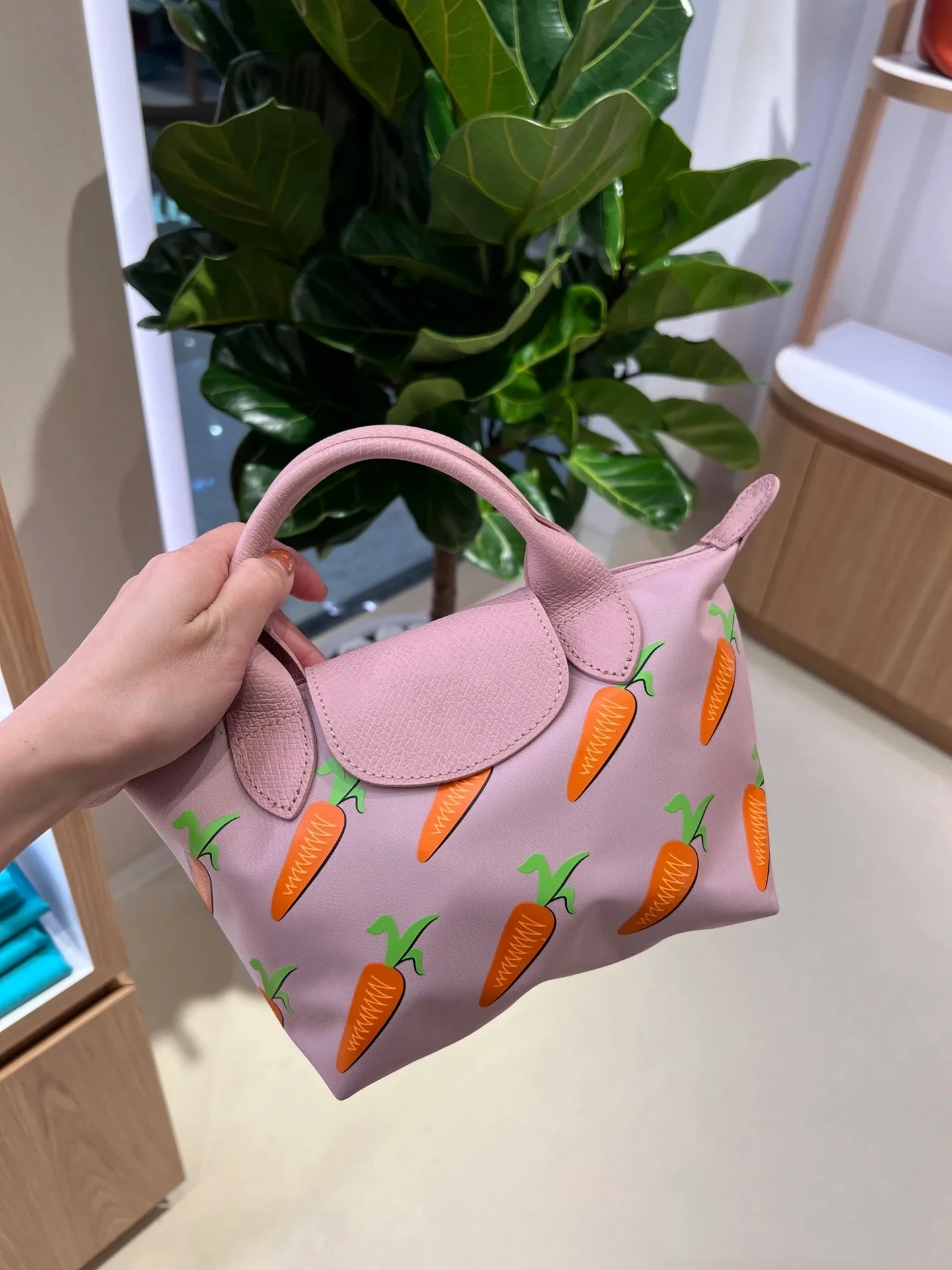 UXST Heart-Shaped Mini Nylon Dumpling Bag Couple Style Cartoon Pattern Print Small Handbag Girls Cute Pink Hobos Crossbody Canva