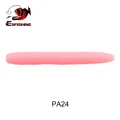PA24