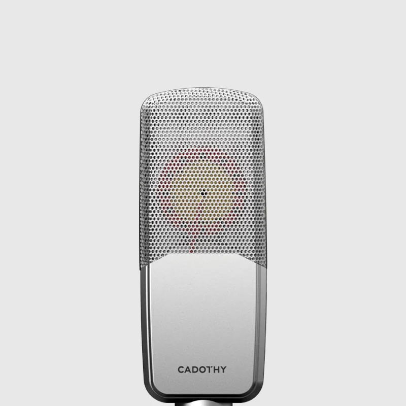 Cheap Price Snm01 High-Fidelity Studio Microphone Professional Condenser Mic For Recording