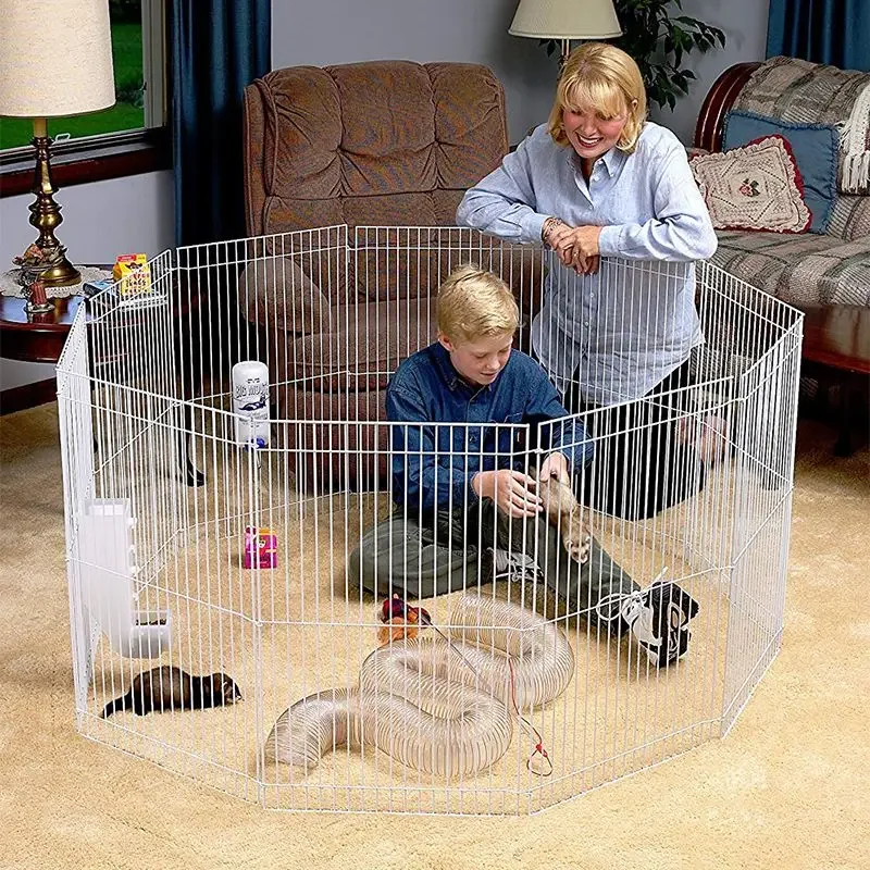 Mink chinchilla rabbit release game activity fence is raised