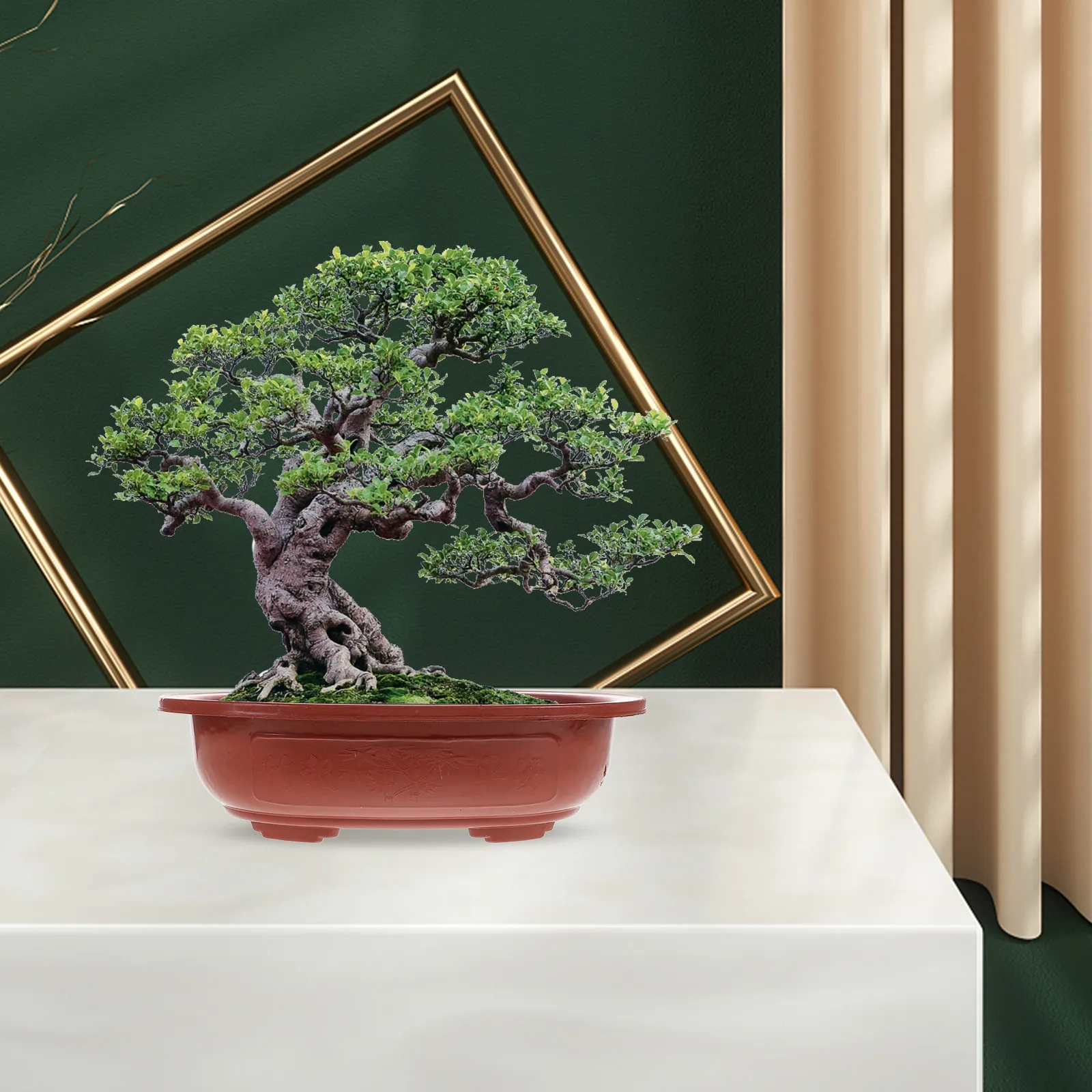 Bonsai Vertical Garden - กระถางบอนไซพลาสติกหนา 4 ชิ้น กระถางแข็งแรงทนทาน สำหรับบ้าน สำนักงาน