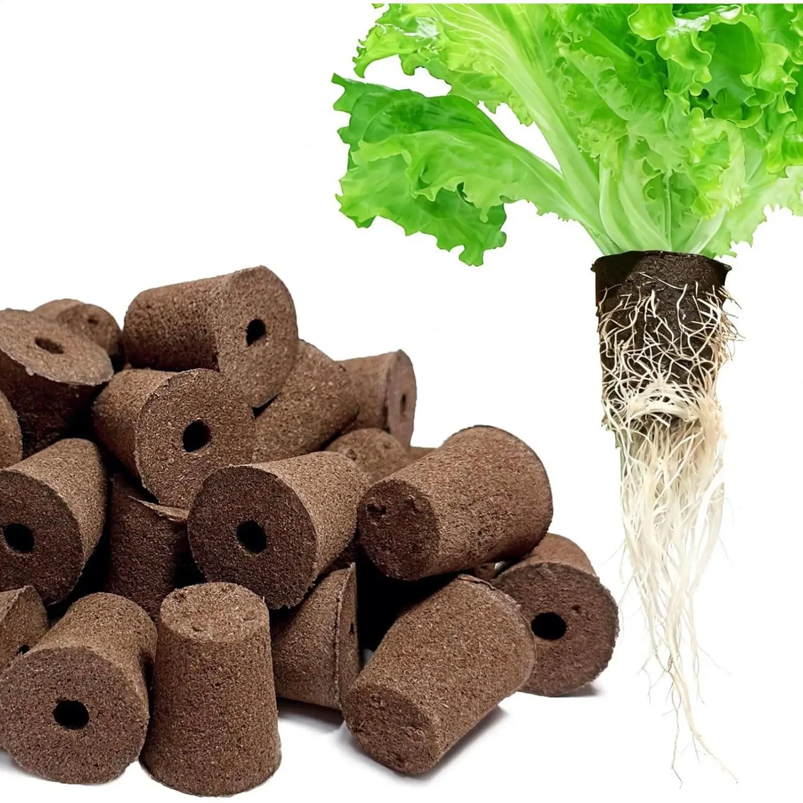 50 Stück Saatgut-Wachstumsschwämme Ersatz-Wurzelwachstumsschwämme Setzling-Starter-Plugs für Saatgut-Anzucht Hydroponische Gartenbepflanzung