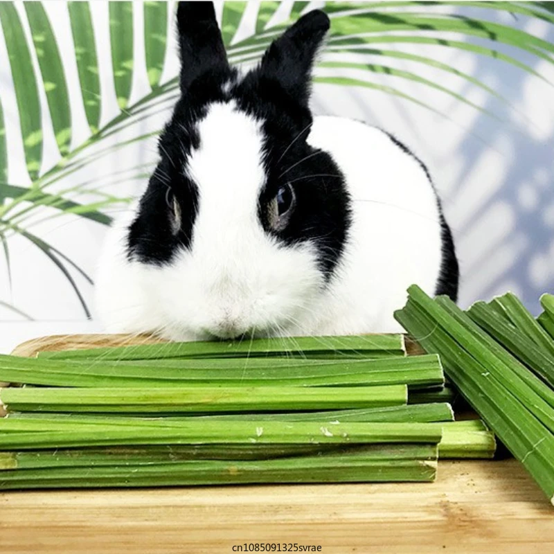 20g Rabbit Molar Papaya Stem Hamsters Chinchillas Rabbit Parrot Rat Guinea Pig Food Snacks Cleaning Teeth Treat Molar Chew Toy