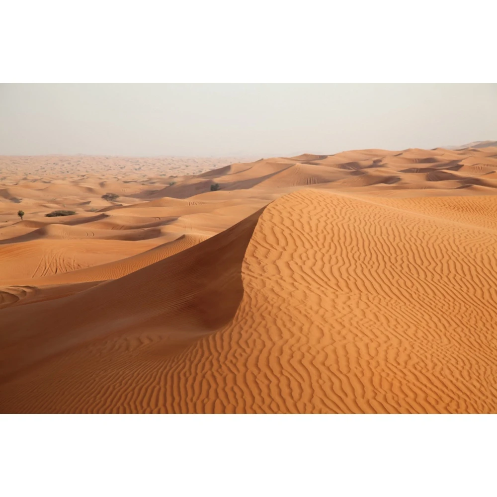 Africa Desert Backdrop for Photography Egyptian Pyramid Desert Sand Dunes Sunset Natural Scenic Travel Portrait Photo Background