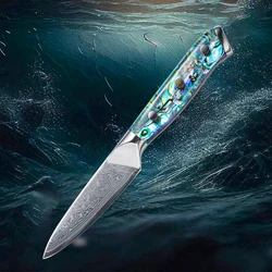 Damascus Steel Peeling Knife, Professional Chef's Knife, Abalone Shell Handle, Paring Knife, 3.5
