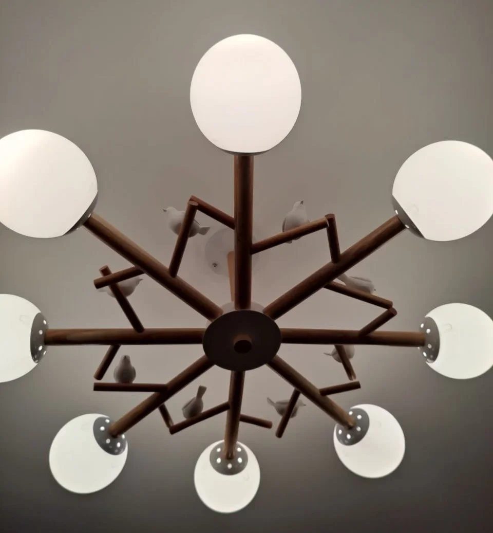 Lampadari nordici per soggiorno camera da letto cucina vetro lampadario a Led illuminazione uccello deco lampada moderna lustri de plafond