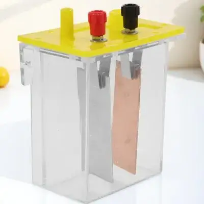 

1Set Fruit Experiment Kit Physics Educational Equipment Fast Assembly Stable Power Generation Science Experiment