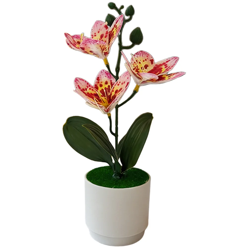 Quietly Elegant Orchid Display with Creamy Floral Tone and Verdant Foliage for Tranquil Living Workspace Styling